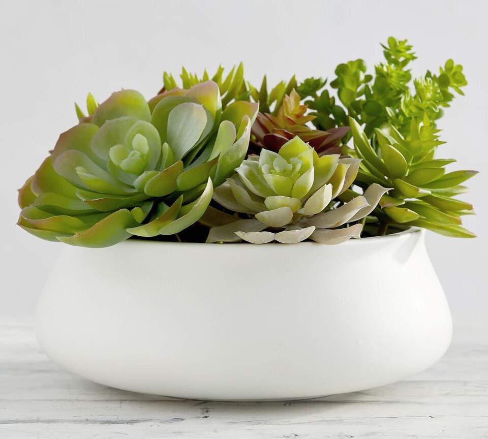 Faux Potted Succulent Centrepiece Pottery Barn Australia